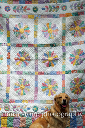 paws quilt