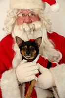 PAWS WITH SANTA 2013  (PROOFS)