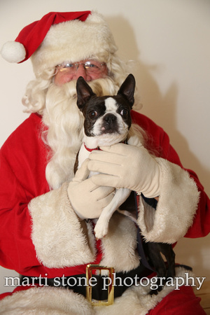 paws with santa 13