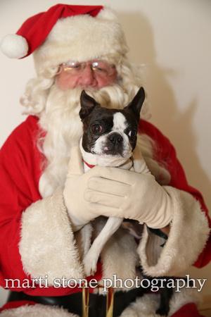paws with santa 13